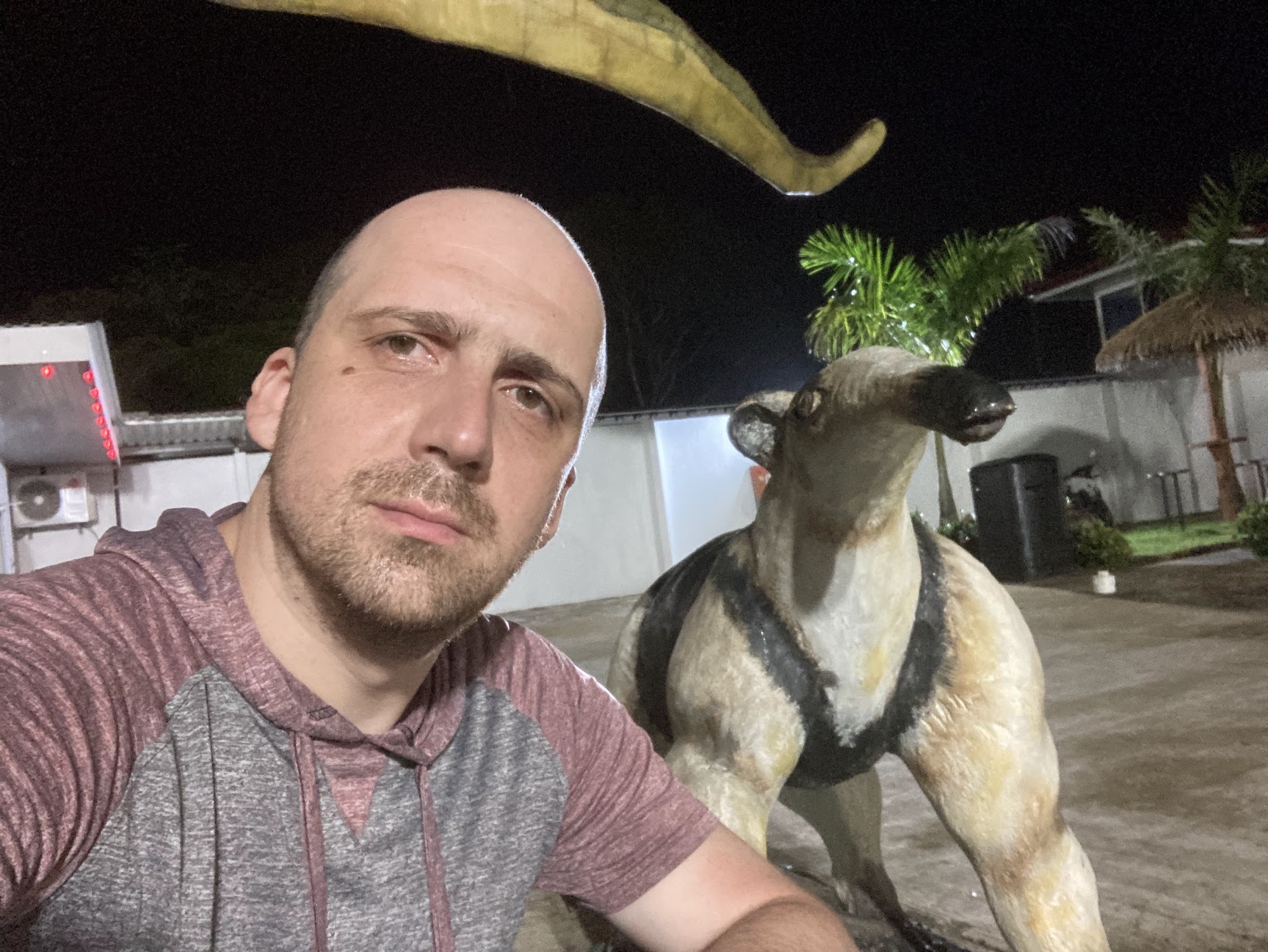 About Me Gleb's Website